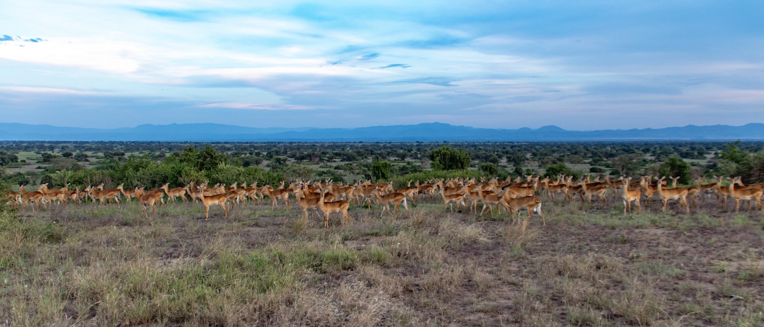 Uganda Nationalparks