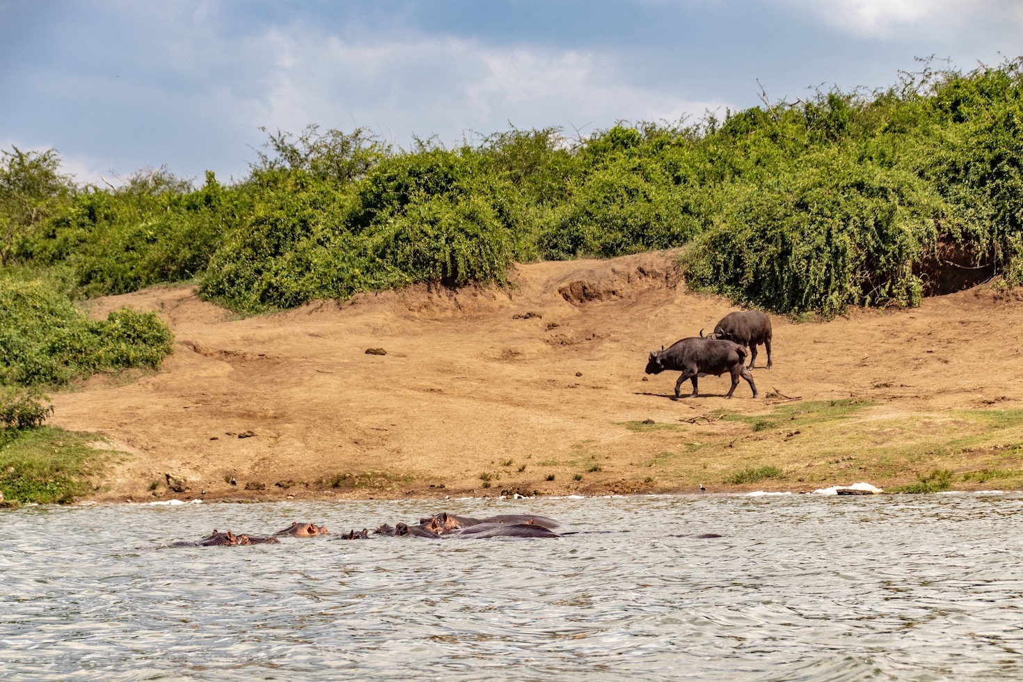 Uganda Nationalparks