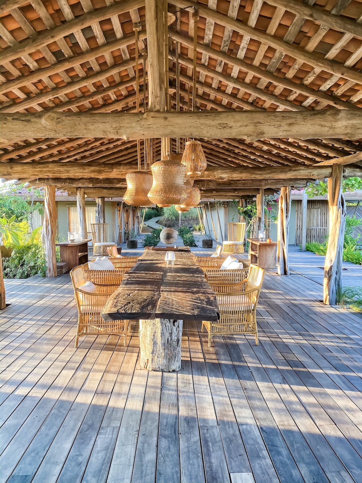 kasiiya papagayo