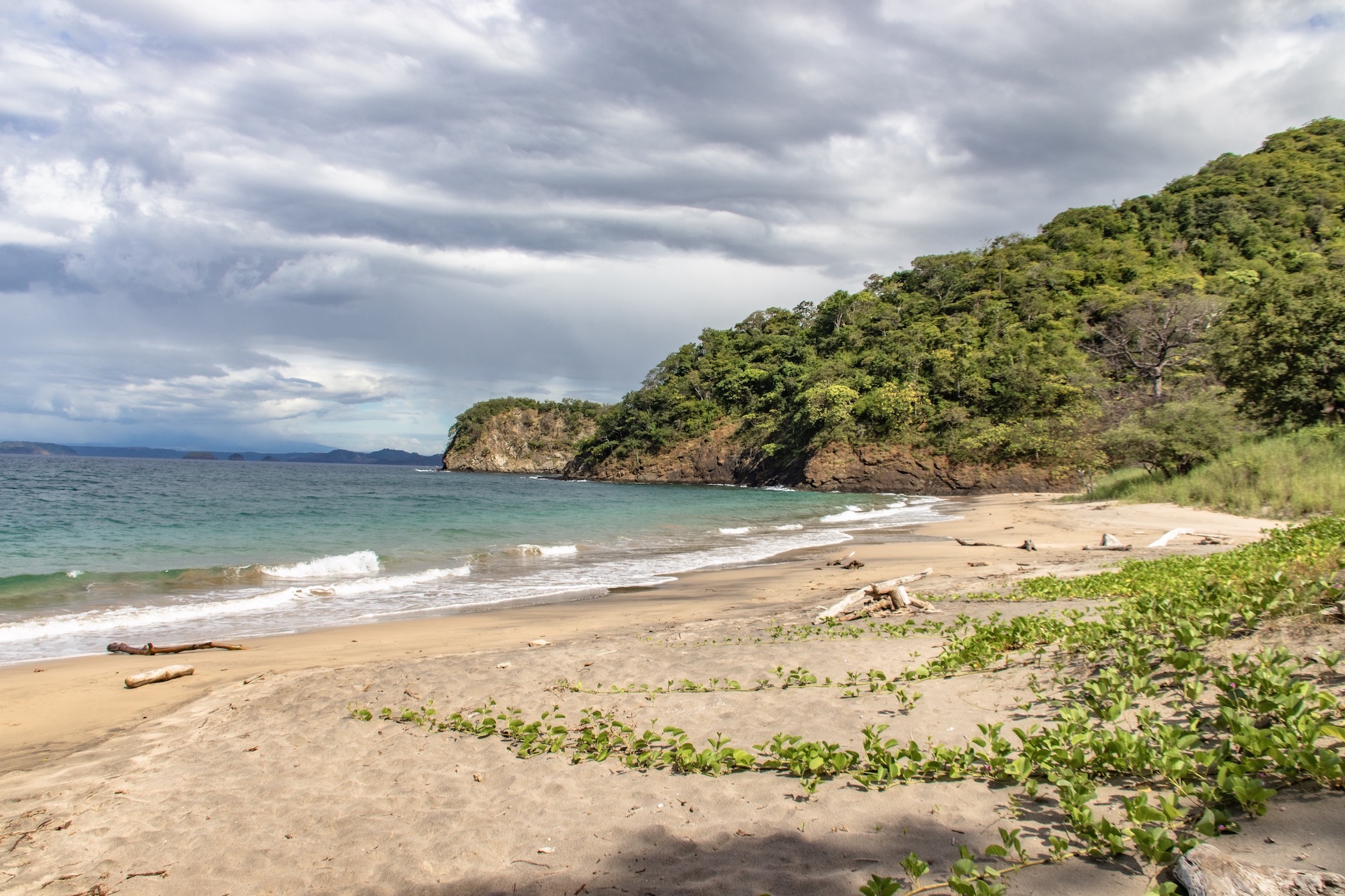 kasiiya papagayo