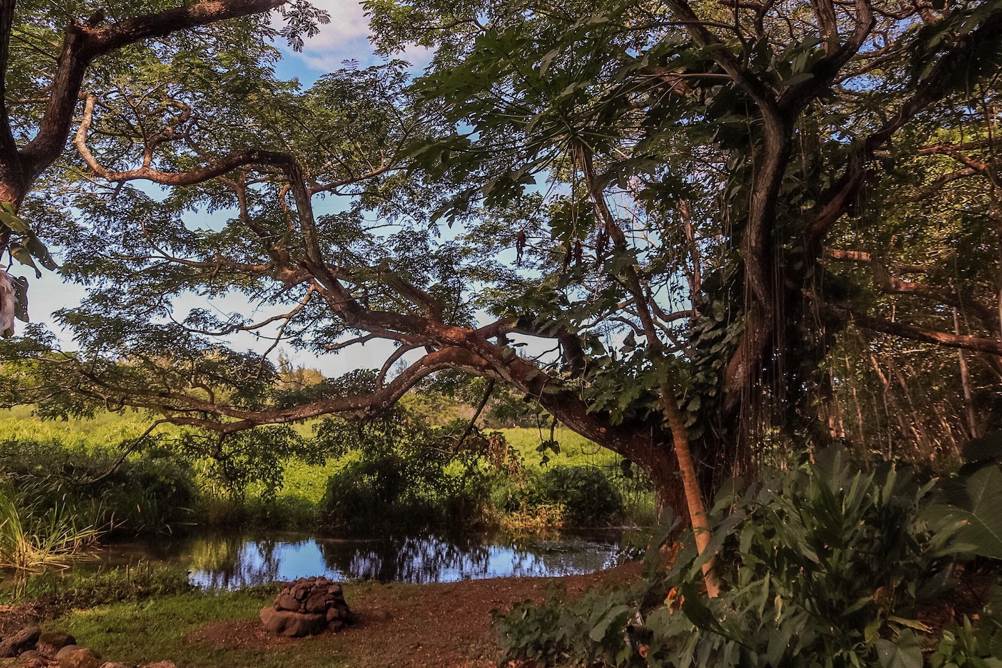 Hawaii Sehenswürdigkeiten