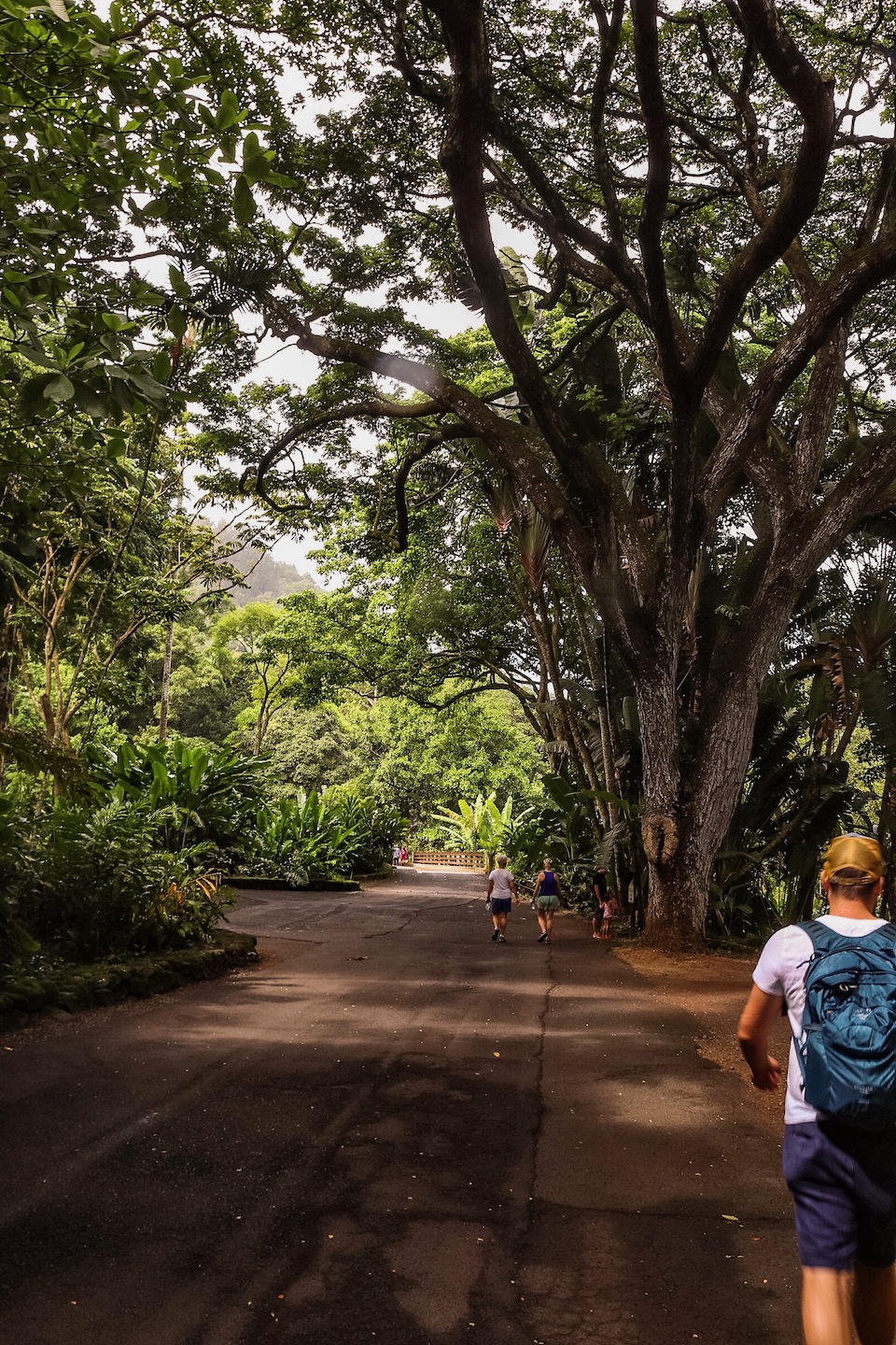 Hawaii Sehenswürdigkeiten