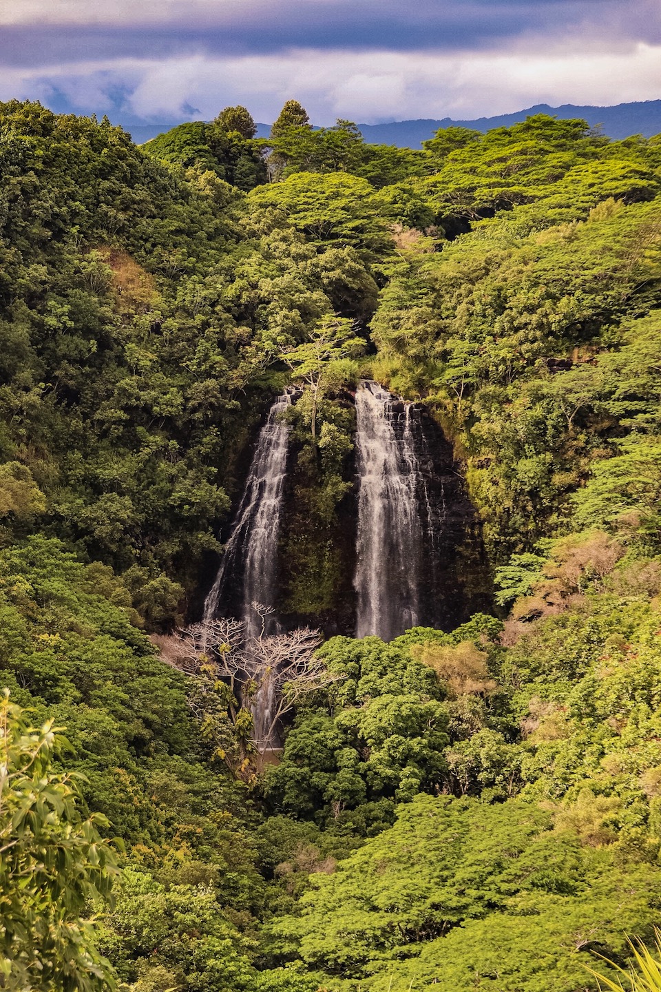 Hawaii Sehenswürdigkeiten