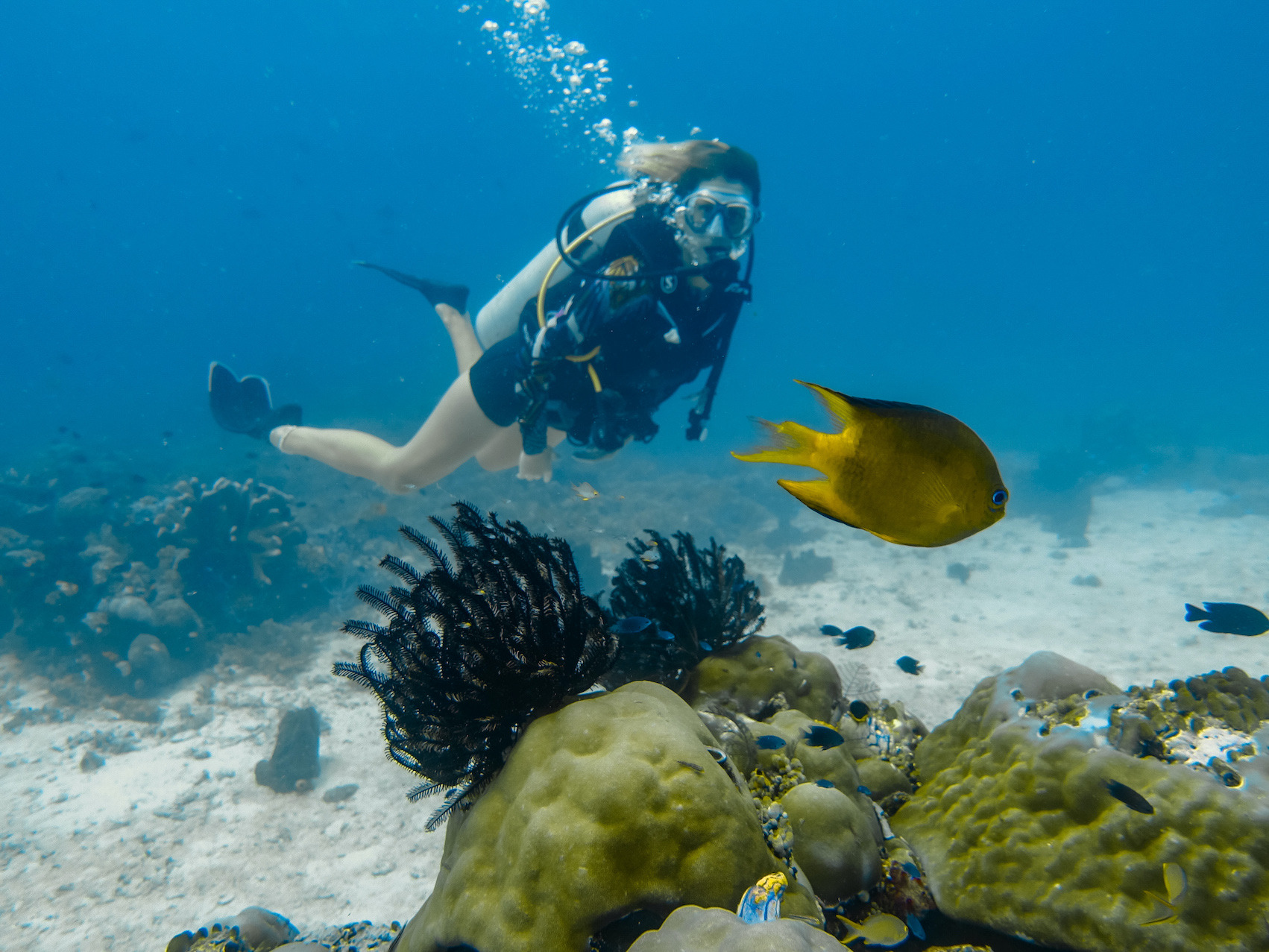 Raja Ampat Dive Resort