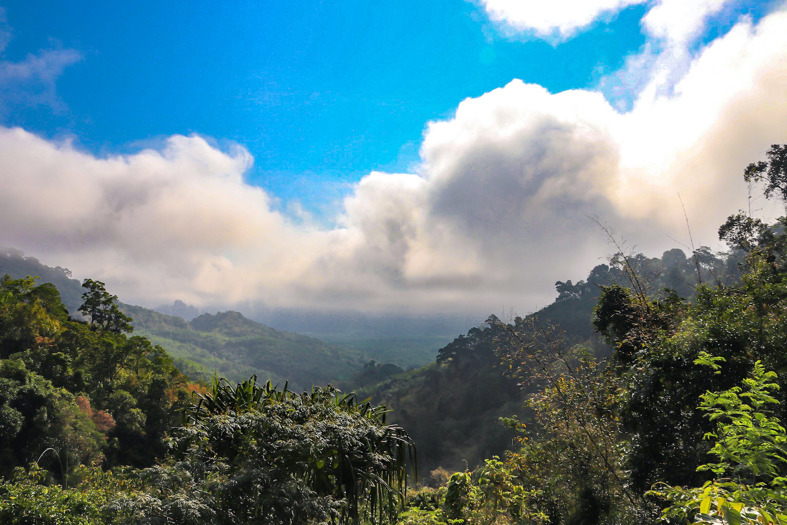 Khao Lak Ausflüge