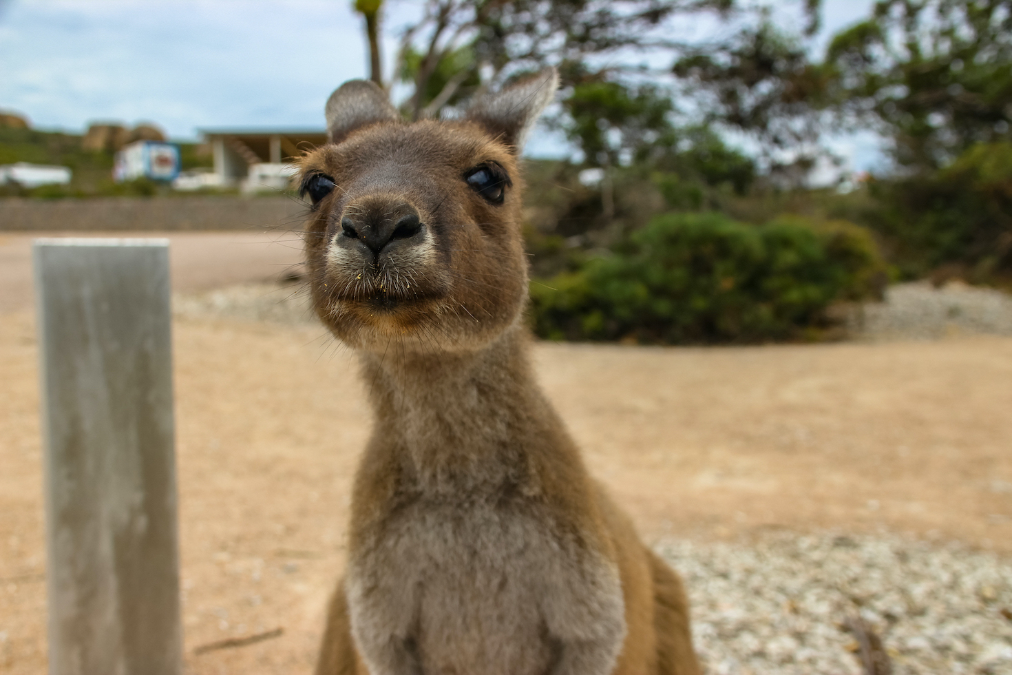 Westküste Australien