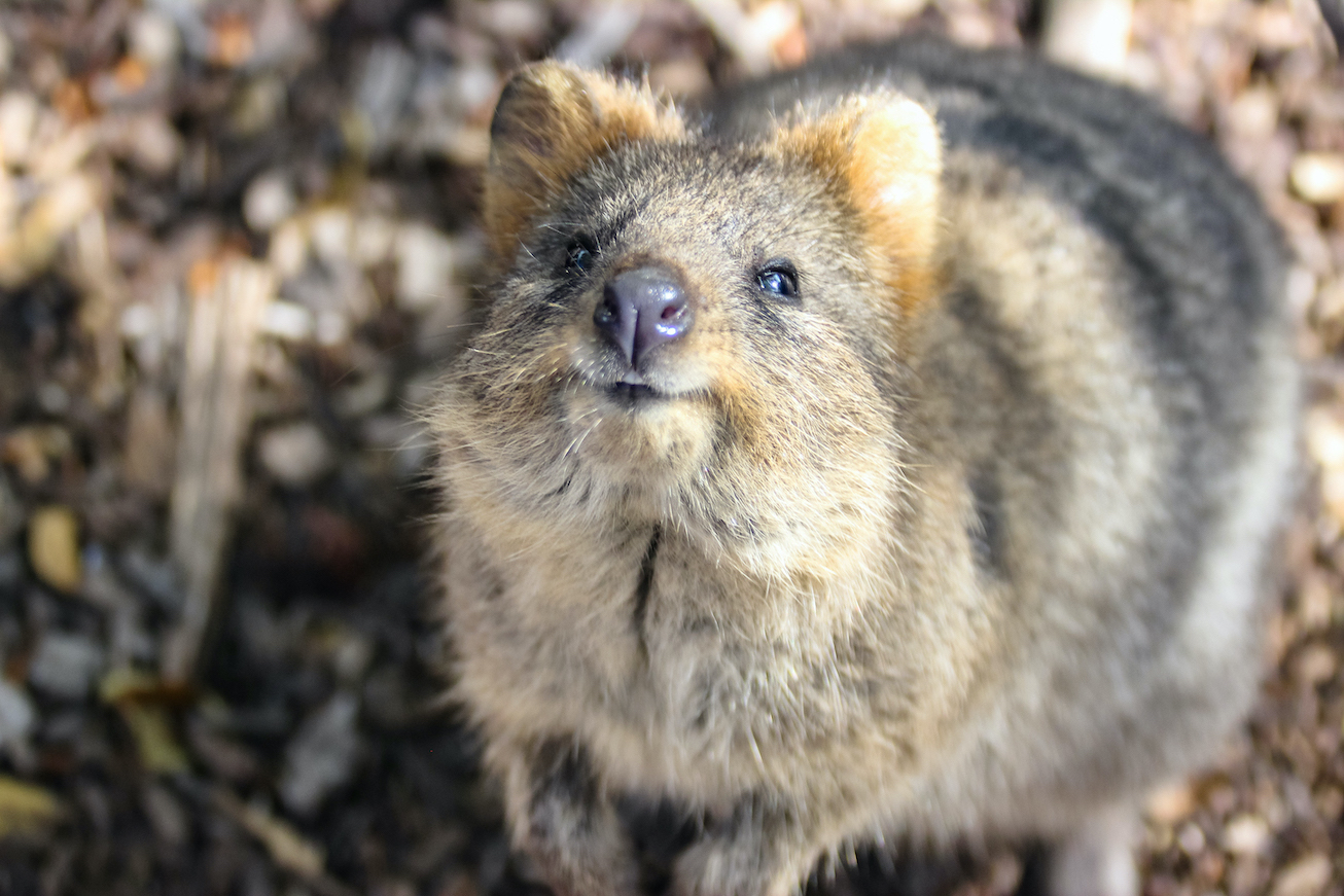 Westküste Australien