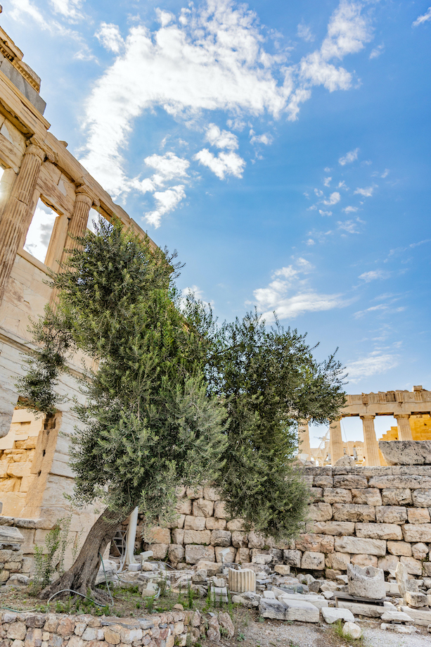 Athen Acropolis Griechenland