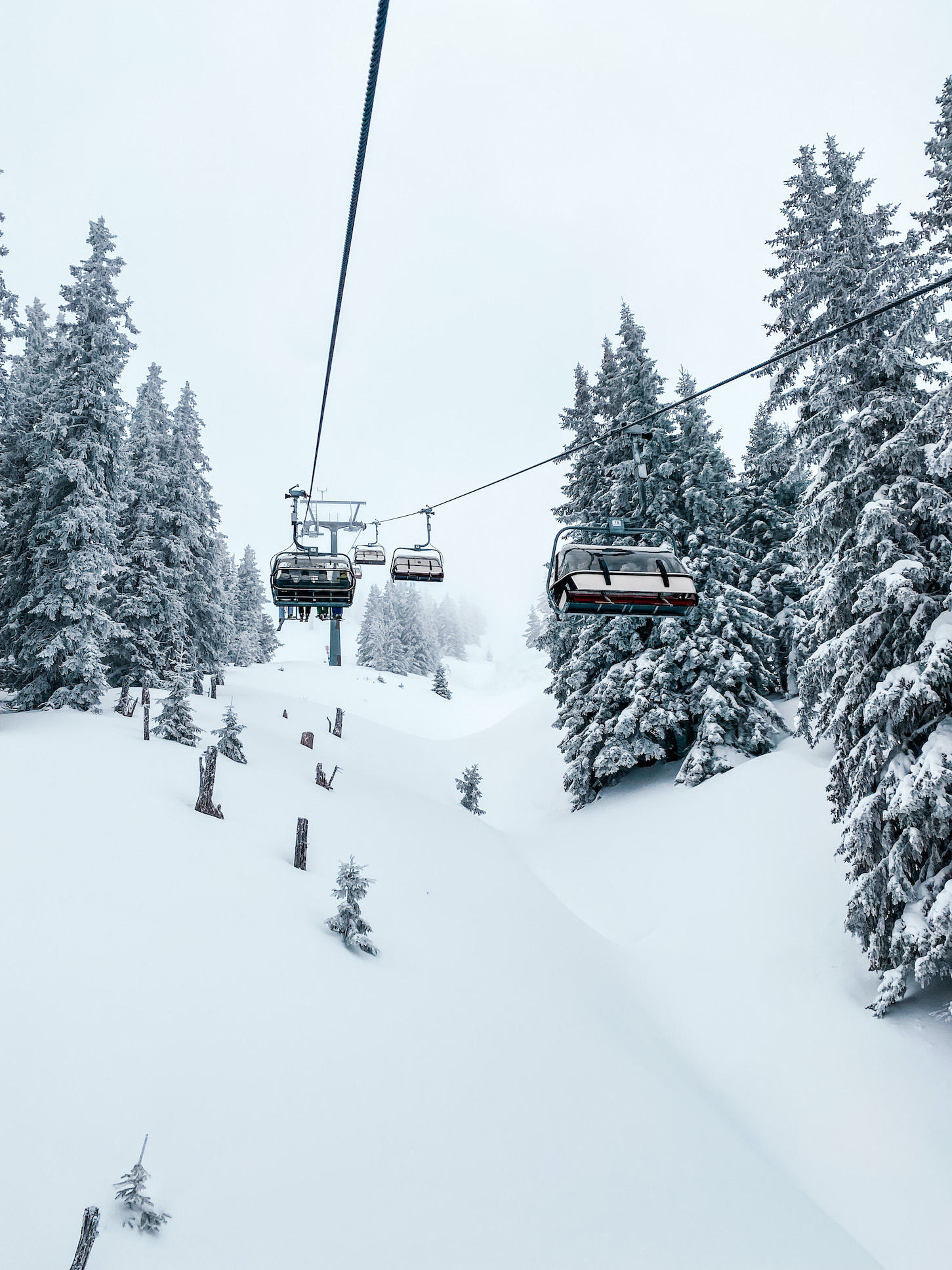 Skifahren Maria Alm Hochkönig