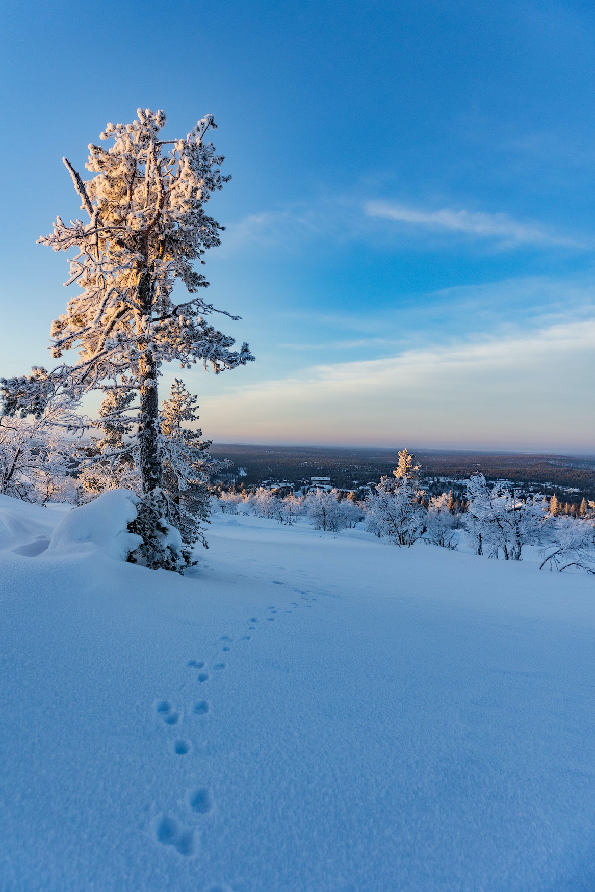Saariselkä Winterwunderland Winterlandschaft Lappland Finnland