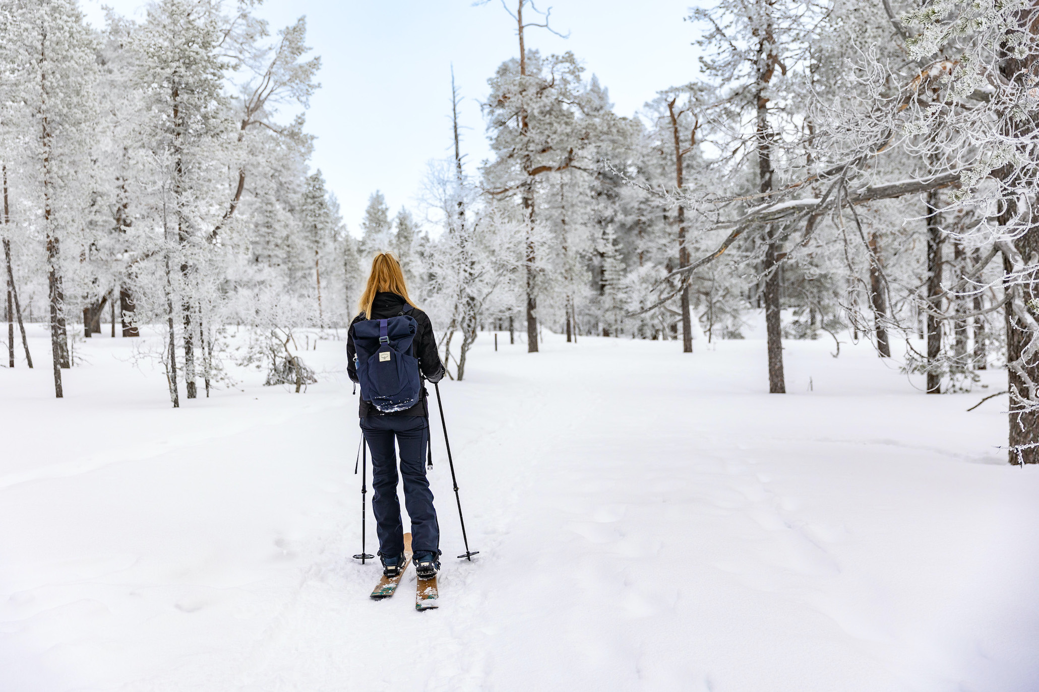 Forest Ski Saariselkä Finnland Lappland