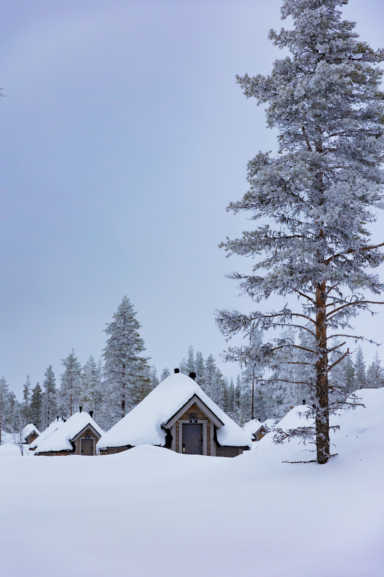 Aurora Cabins Northern Lights Village Saariselkä Lappland Finnland