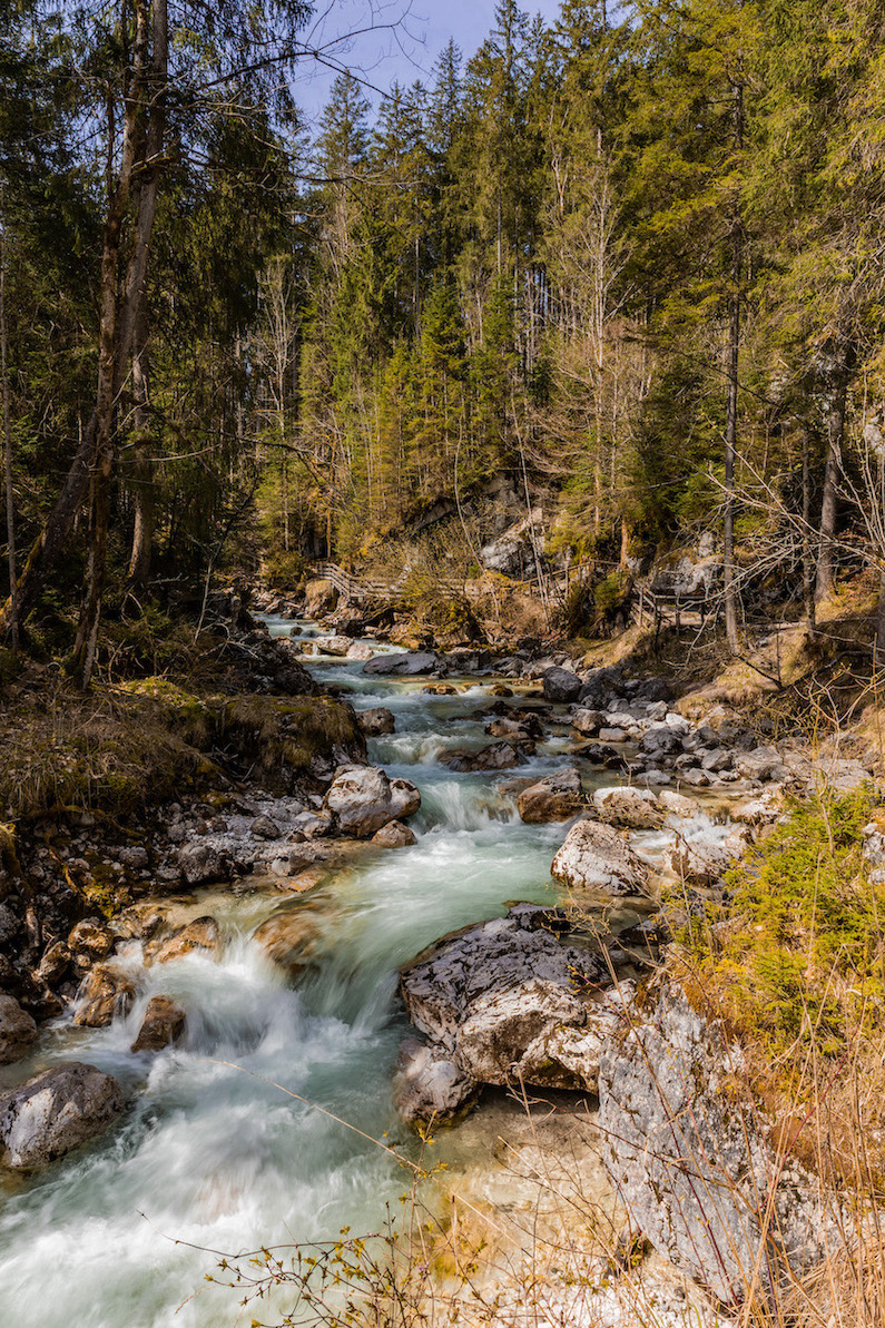 Zauberwald am Hintersee, Ramsau, Berchtesgadener Land