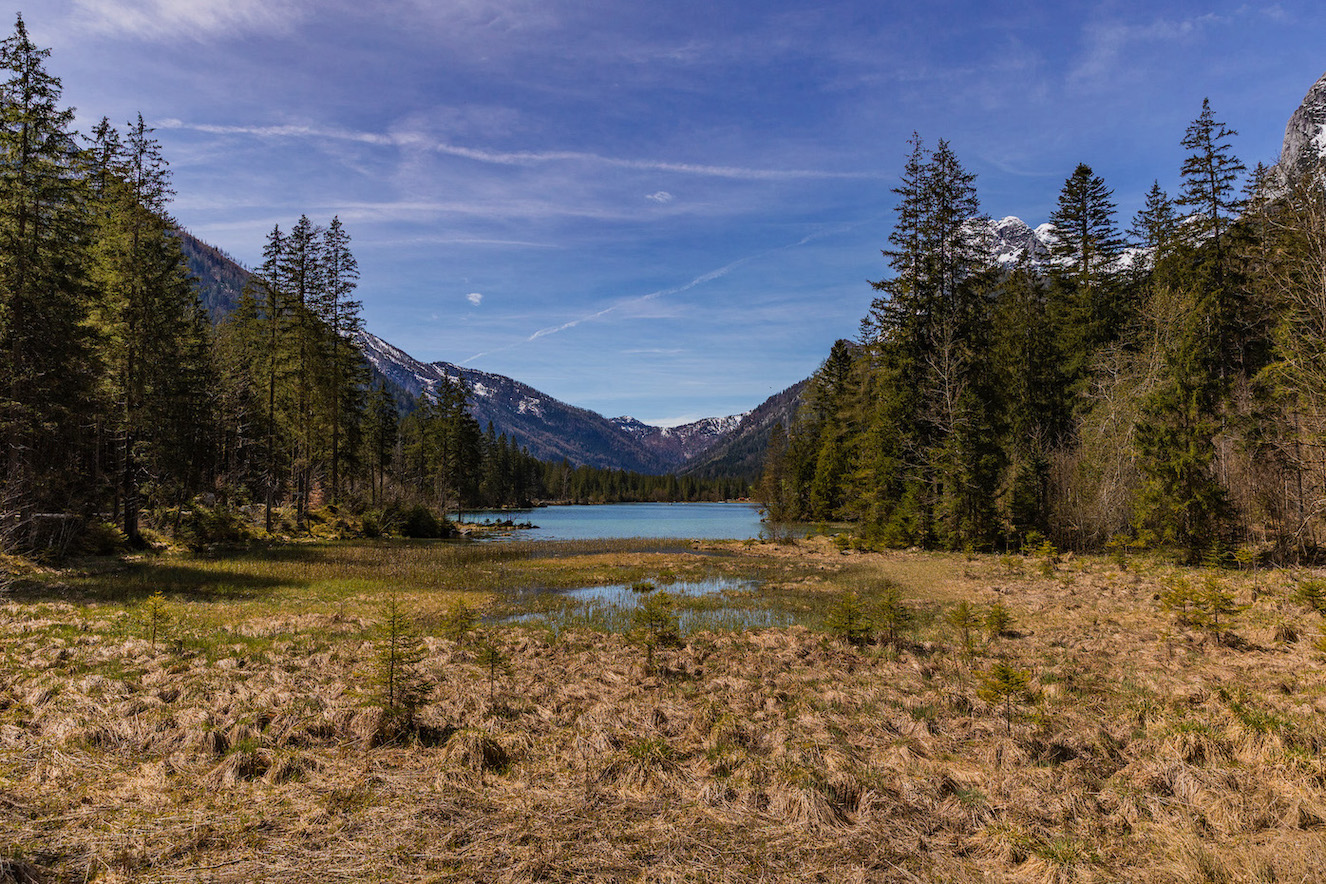 Zauberwald am Hintersee, Ramsau, Berchtesgadener Land