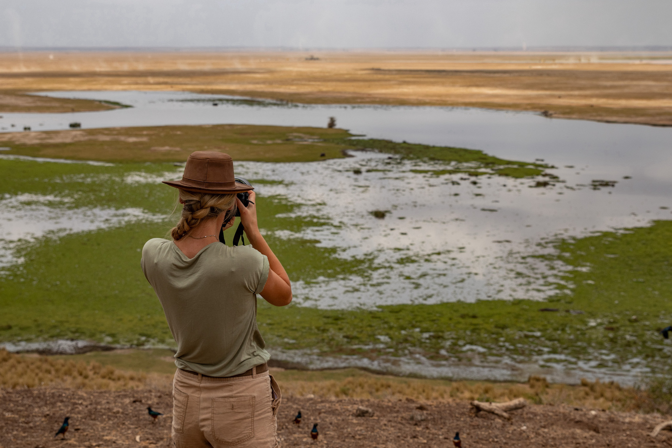 Kenia Safari Sumpf Amboseli