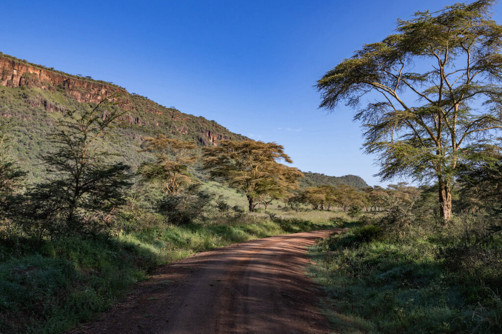 Safari in Kenia, Lake Nakuru