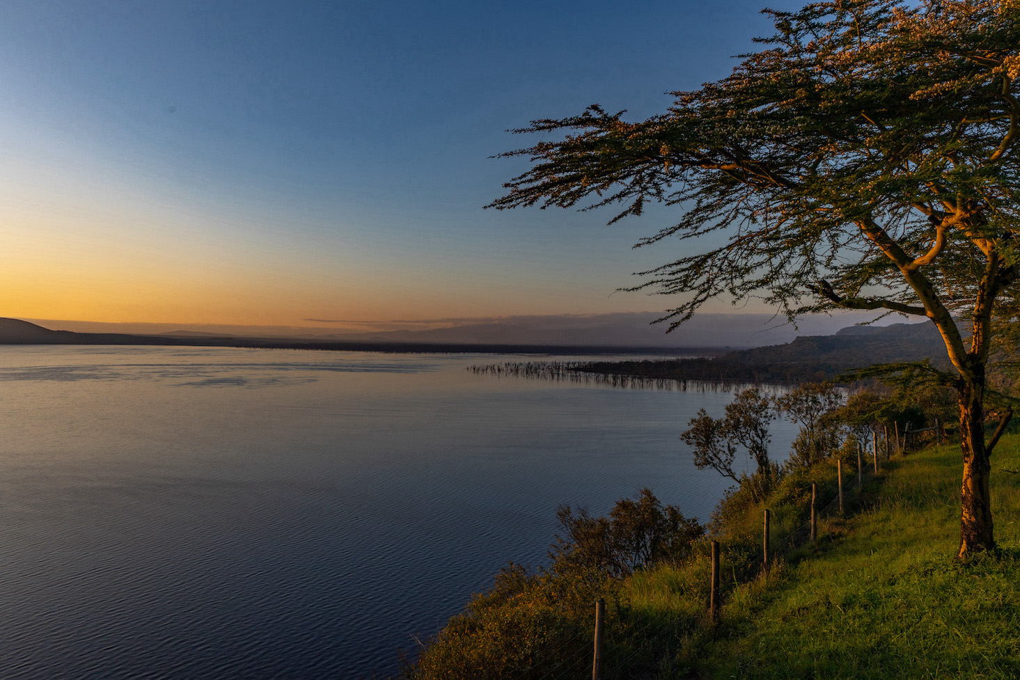 Safari in Kenia, Lake Nakuru