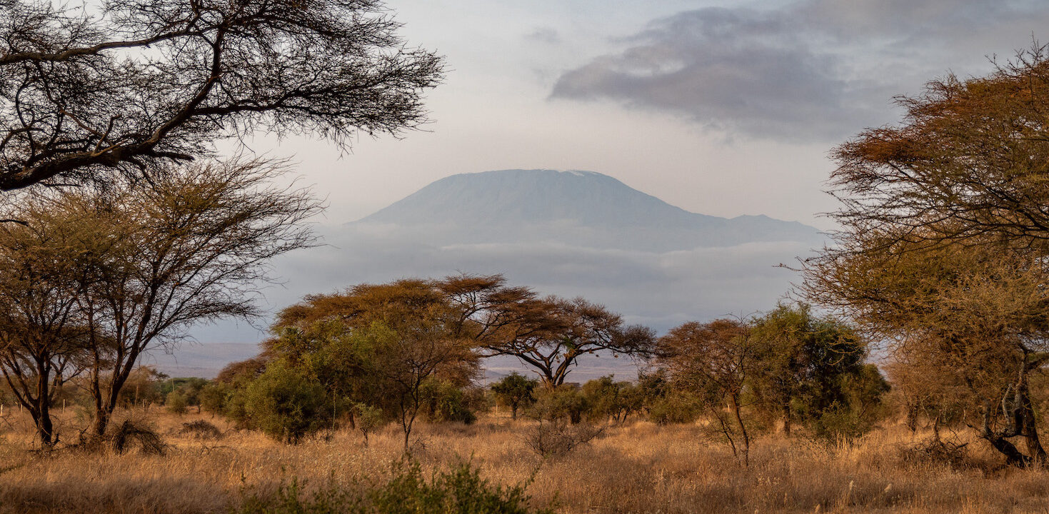 reiseziele_kenia-safari-mount-kilimanjaro