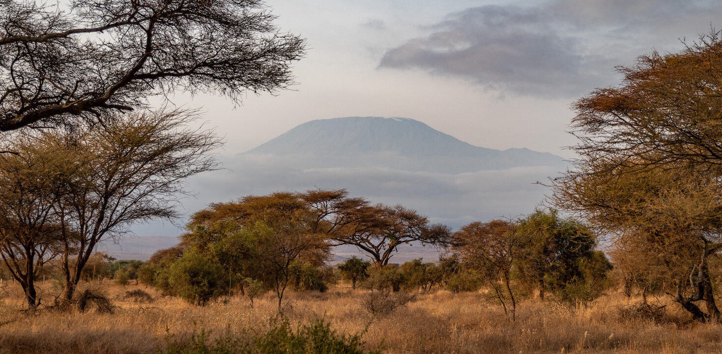 Safari in Kenia, Amboseli