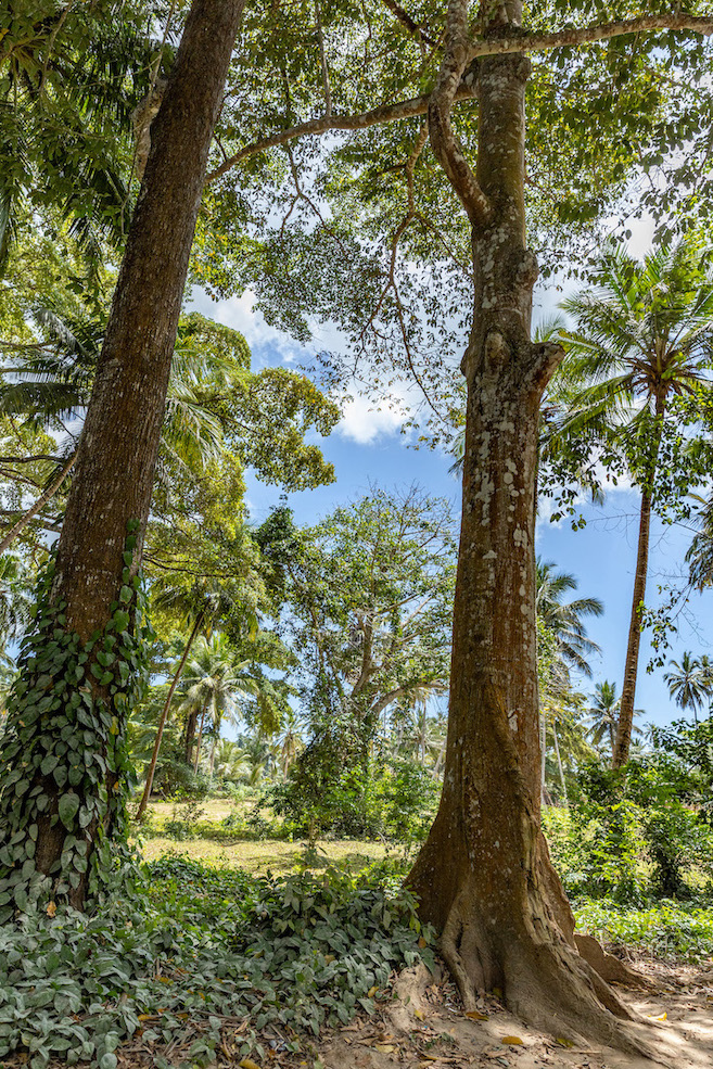 Hotelempfehlung Pemba, Tansania, Honeymoon, Aiyana