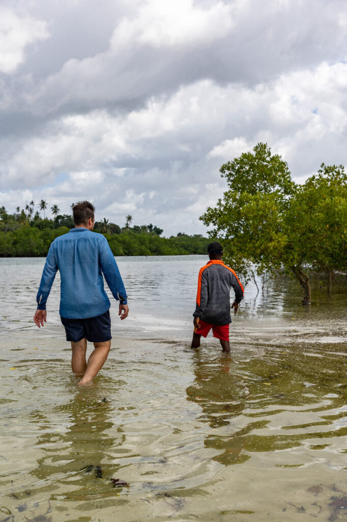 Sandbank Tour Pemba, Trauminsel, Tansania, Mangroven