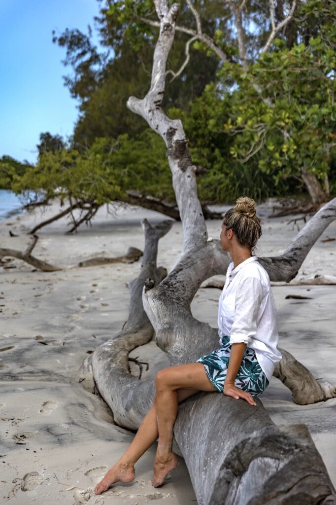 Sandbank Tour Pemba, Trauminsel, Tansania