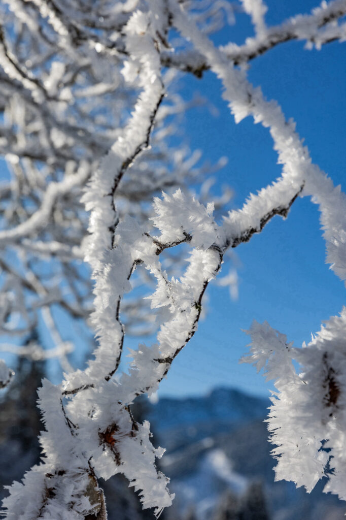 Familienhotel Hofgut Apartments & Resort, Winterwunderland Wagrain