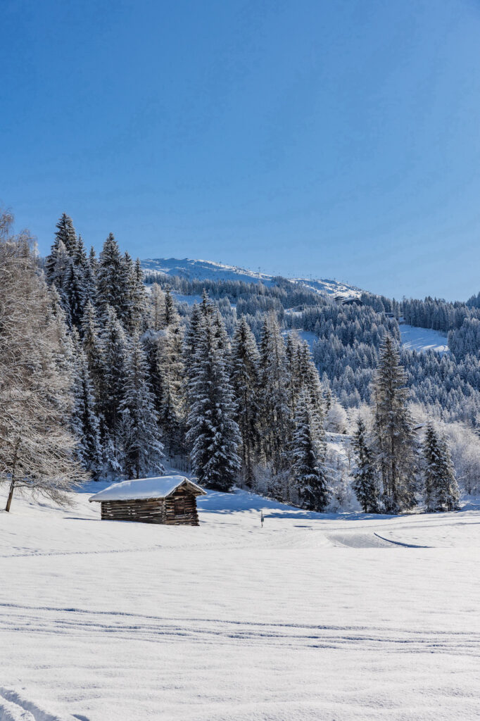Familienhotel Hofgut Apartments & Resort, Winterwunderland Wagrain