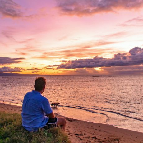 Maui Beachside